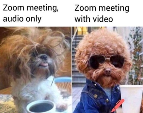 Zoom meeting, audio only; Zoom meeting with video