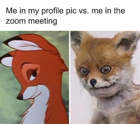 Me in my profile pic vs. me in the zoom meeting
