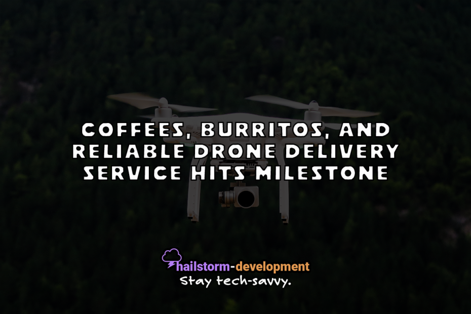 Drone Delivery Service