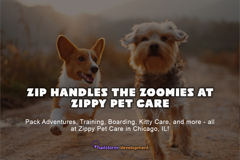 Zip handles the Zoomies at Zippy Pet Care